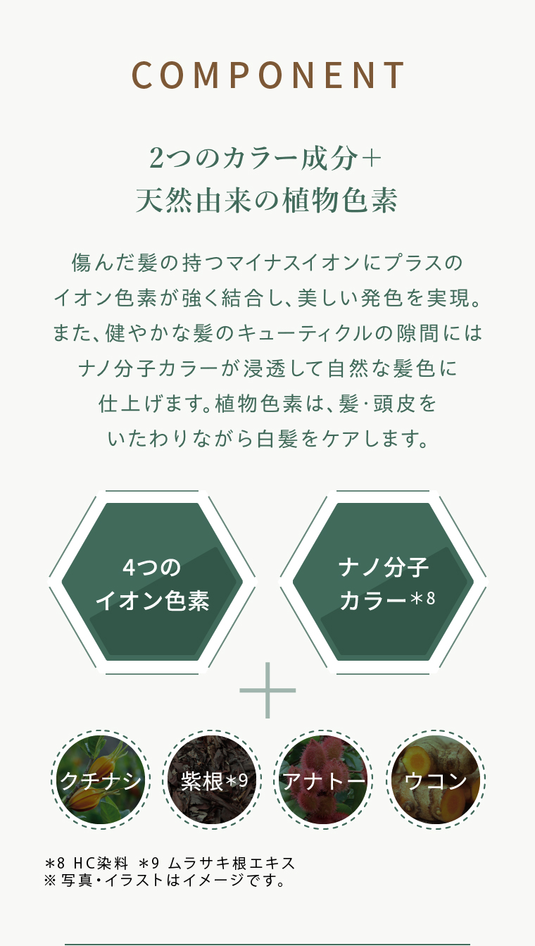 COMPONENT