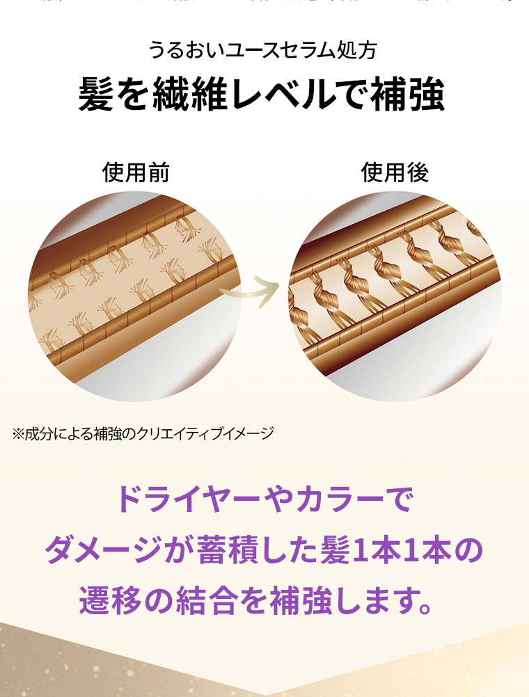 髪を繊維レベルで補強