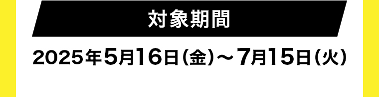 対象期間