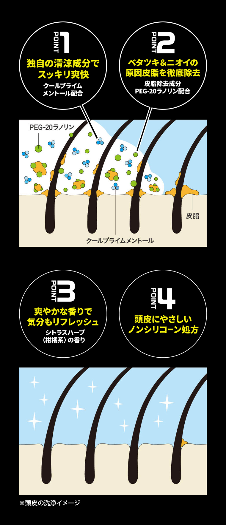 POINT