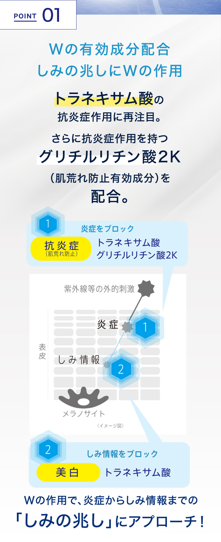 POINT01 Wの有効成分配合