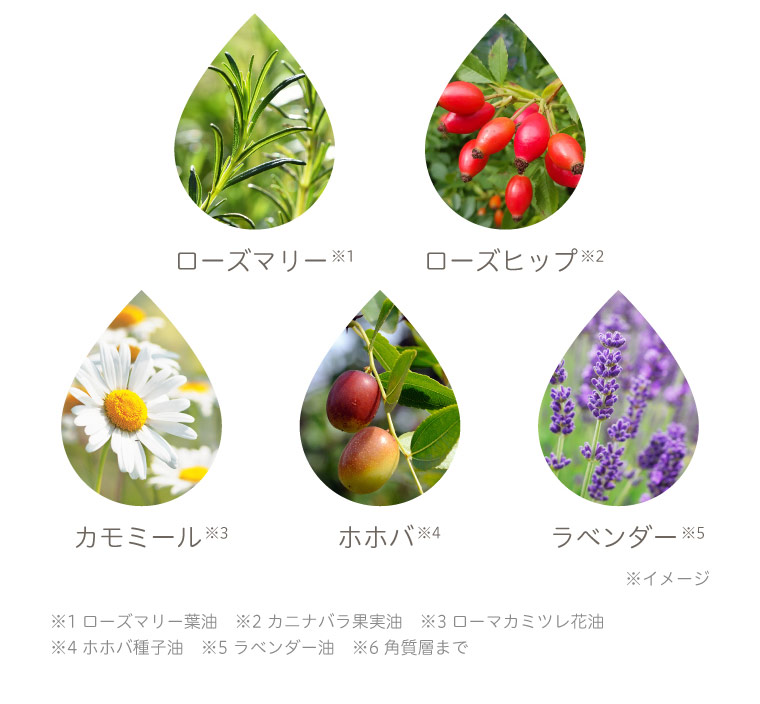 ローズマリー ローズヒップ カモミール ホホバ ラベンダー