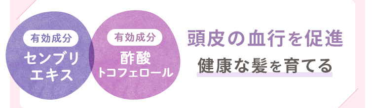 【POINT1-2】有効成分・センブリエキス、有効成分・酢酸トコフェロール：頭皮の血行を促進、健康な髪を育てる