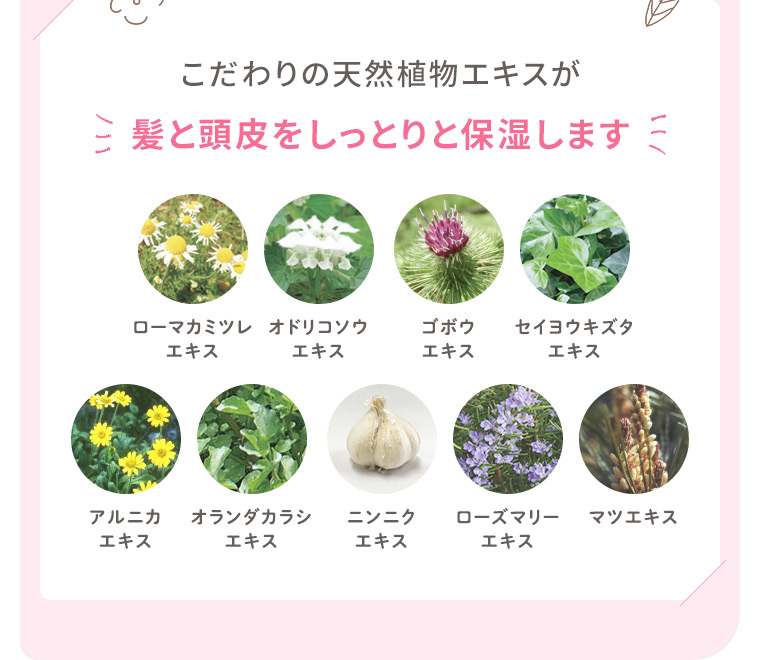 こだわりの天然植物エキスが髪と頭皮をしっとりと保湿します。ローマカミツレエキス、オドリコソウエキス、ゴボウエキス、セイヨウキズタエキス、アルニカエキス、オランダカラシエキス、ニンニクエキス、ローズマリーエキス、マツエキス