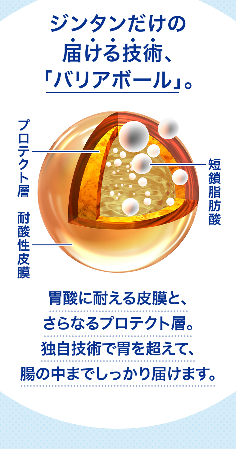 ジンタンだけの届ける技術「バリアボール」