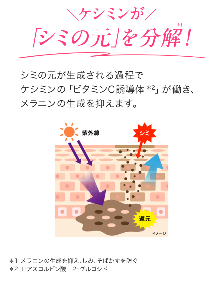 「シミの元」を分解！