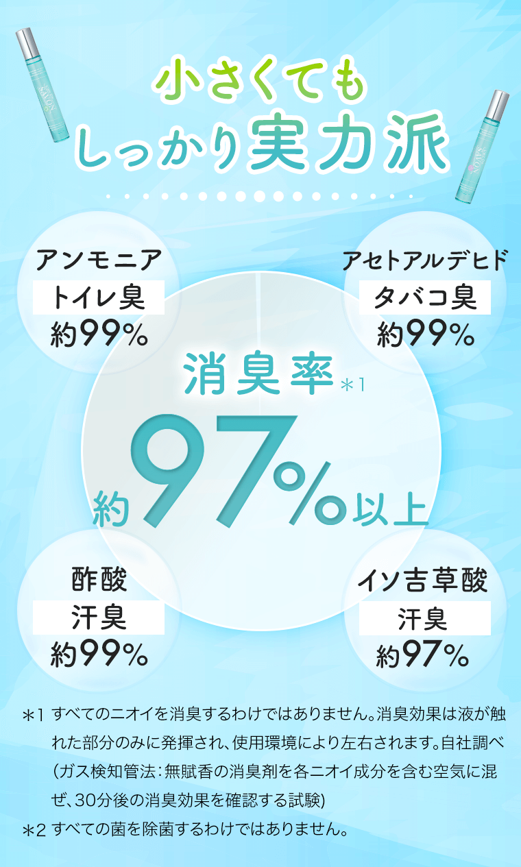 小さくてもしっかり実力派