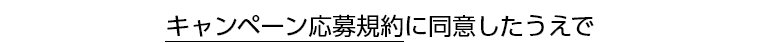 キャンペーン応募規約に同意したうえで