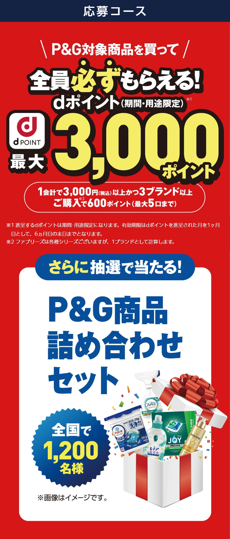 応募コース
