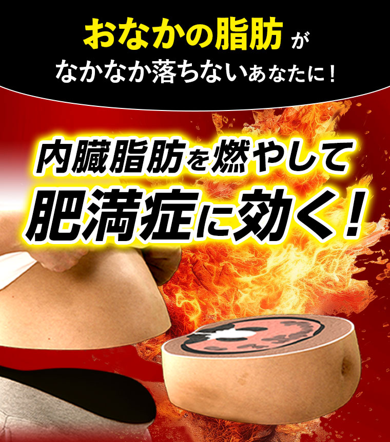 おなかの脂肪がなかなか落ちないあなたに！内臓脂肪を燃やして肥満症に効く！