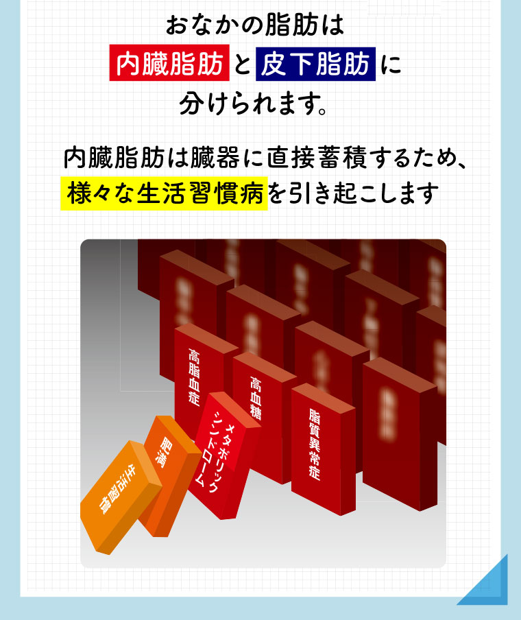 おなかの脂肪は内臓脂肪と皮下脂肪に分けられます。内臓脂肪は臓器に直接蓄積するため、様々な生活習慣病を引き起こします