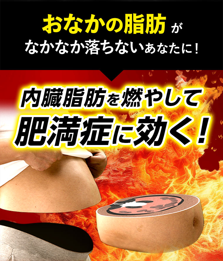おなかの脂肪がなかなか落ちないあなたに！内臓脂肪を燃やして肥満症に効く！