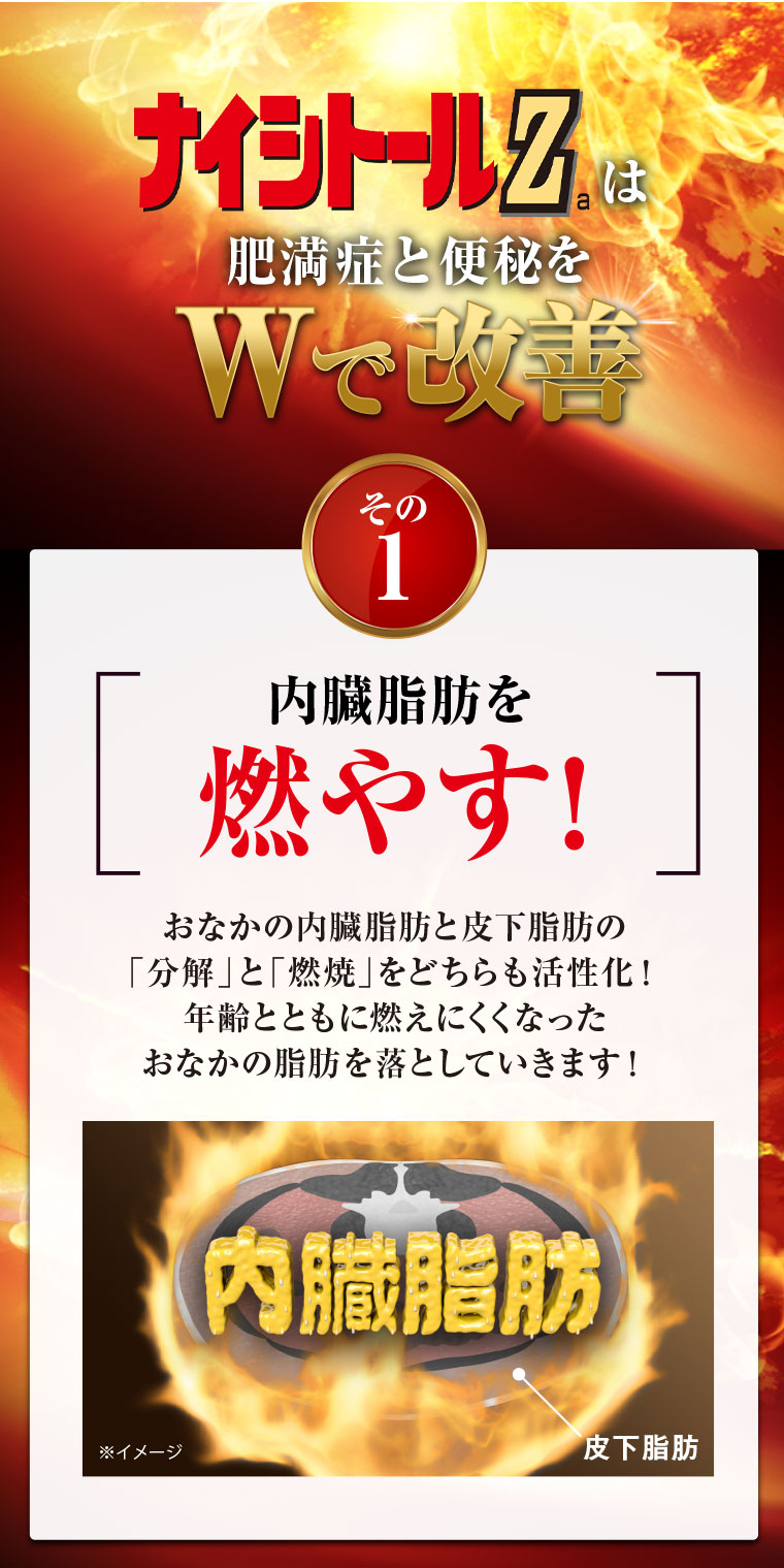 ナイシトールZaは肥満症と便秘をWで改善 その1 内臓脂肪を燃やす！