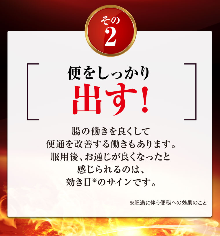 その2 便をしっかり出す！