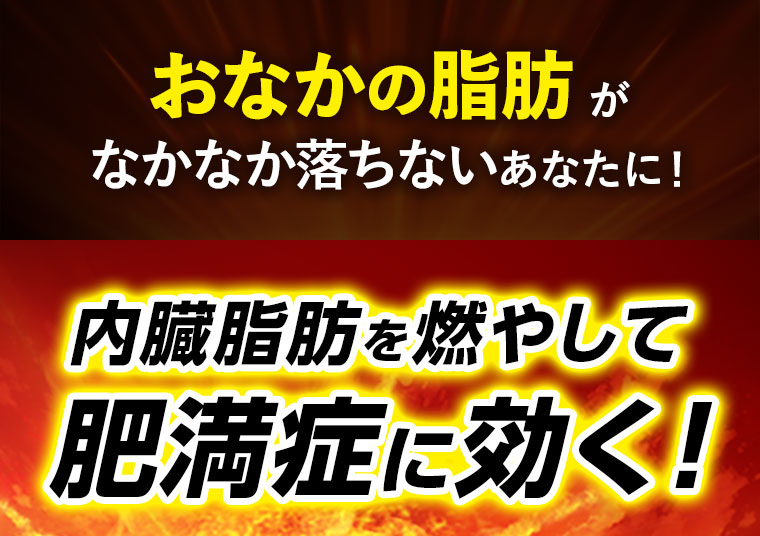 おなかの脂肪がなかなか落ちないあなたに！内臓脂肪を燃やして肥満症に効く！