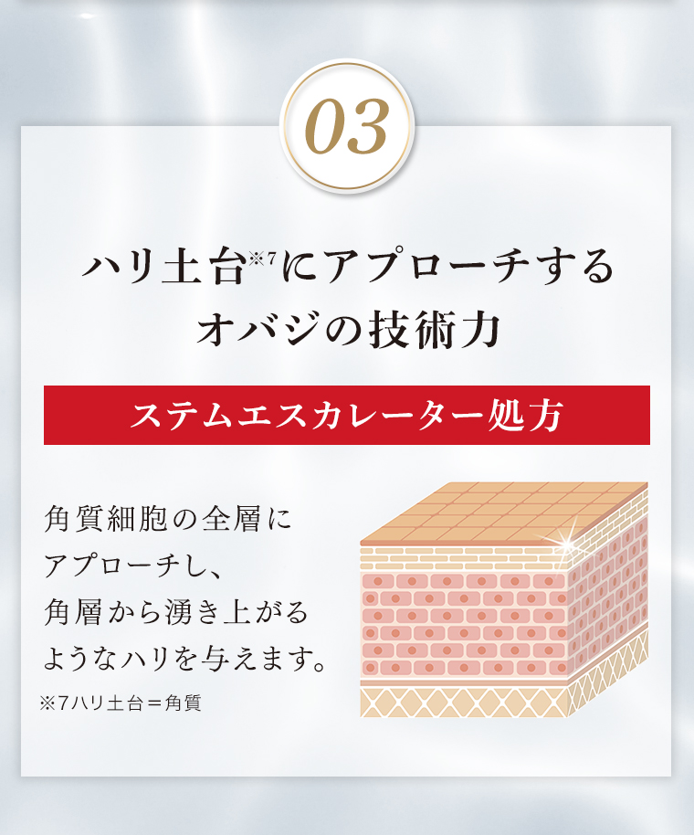 03 ハリ土台にアプローチするオバジの技術力