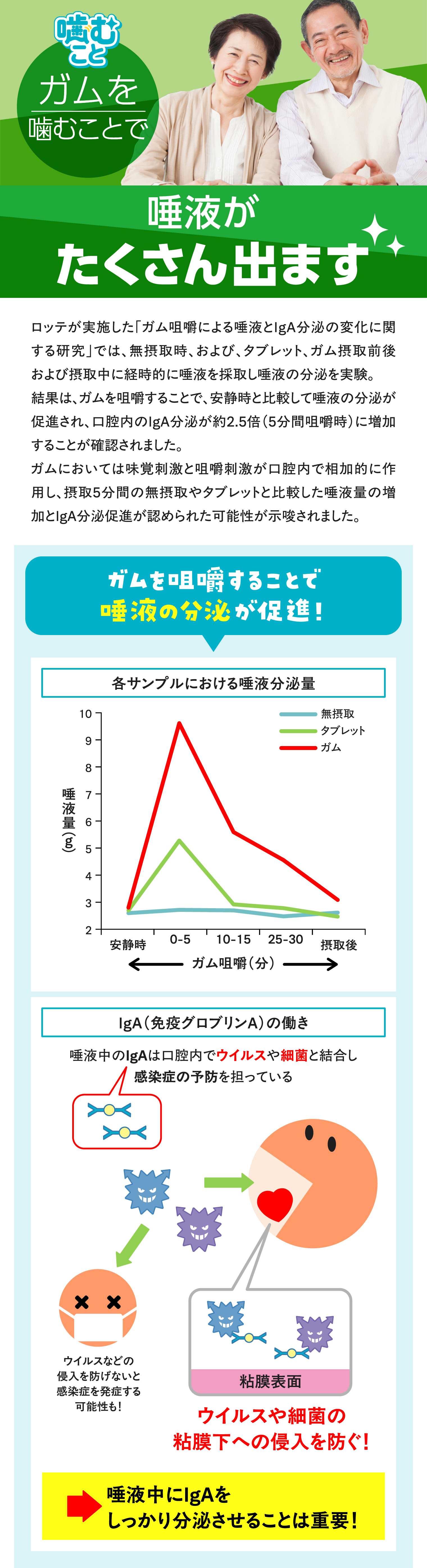 ガムを噛むと唾液分泌が促進され、口内環境が改善する効果があることを示すイメージ