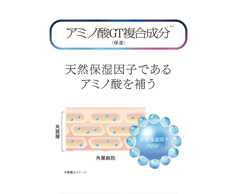 アミノ酸GT複合成分
