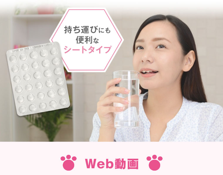 Web動画