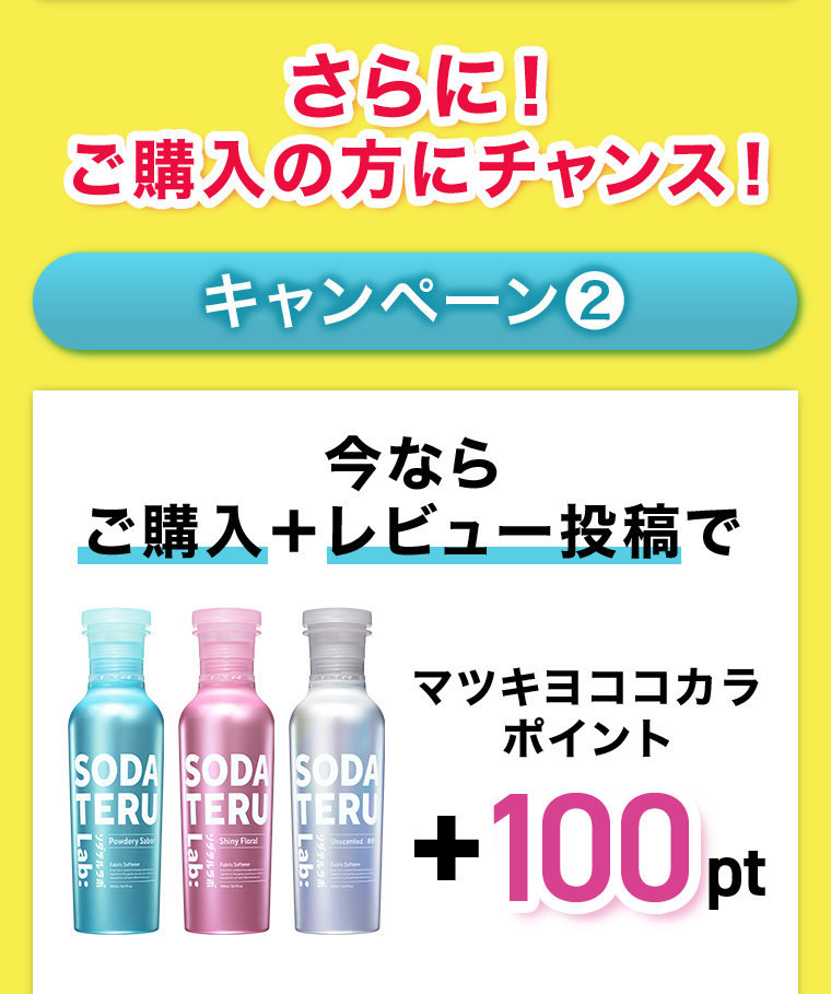 キャンペーン02 ご購入+レビューで+100pt