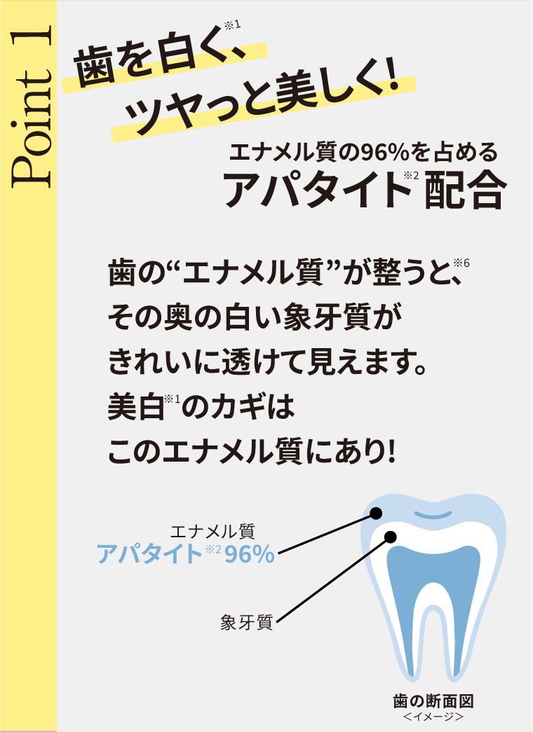 歯を白く、ツヤっと美しく!エナメル質の96%を占めるアパタイト配合歯の“エナメル質”が整うと、その奥の白い象牙質がきれいに透けて見えます。美白  のカギはこのエナメル質にあり!