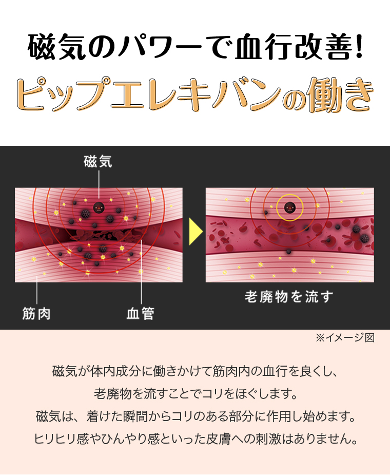 ピップエレキバンの働き