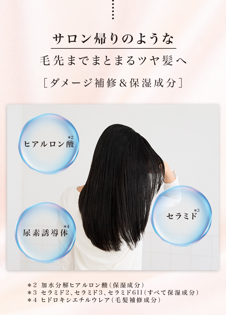 サロン帰りのよおうな毛先までまとまるツヤ髪へ