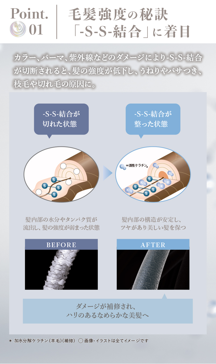 Point01 -s-s-結合に着目