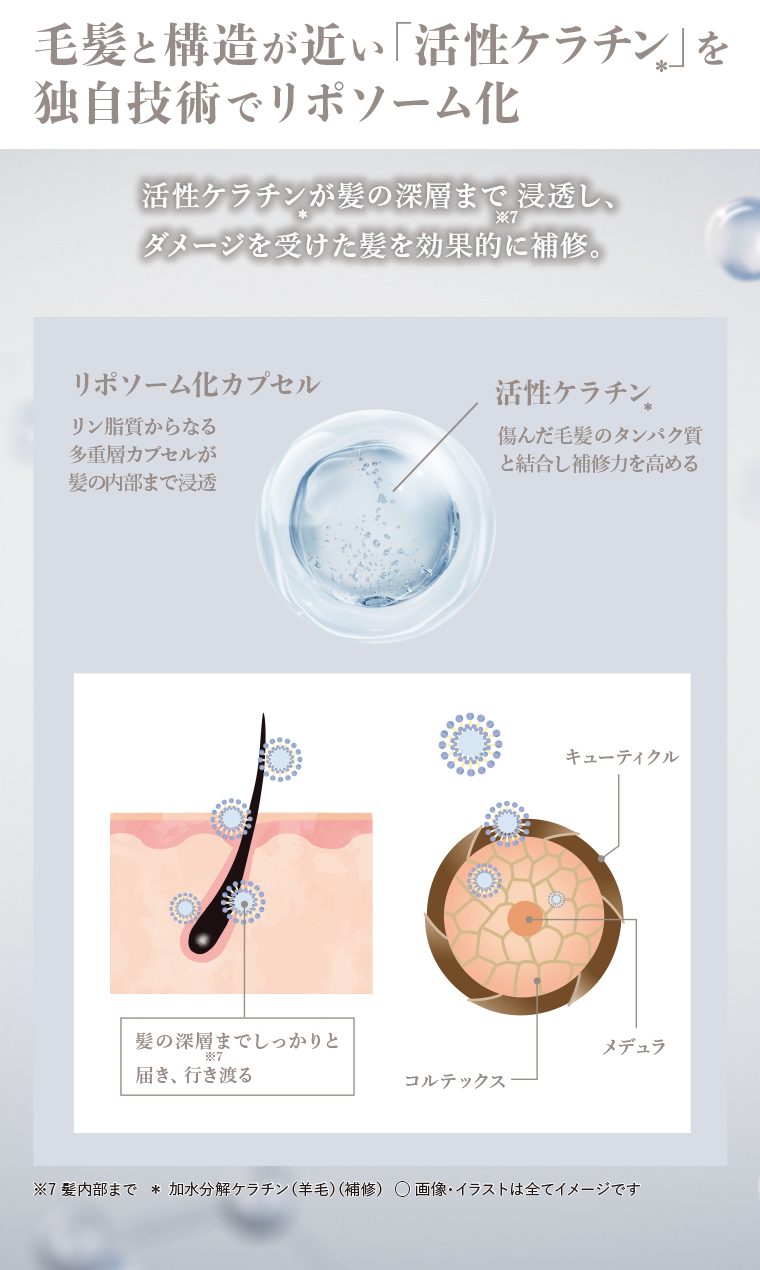 独自技術でリポソーム化