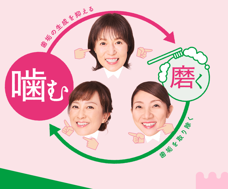 噛む 歯垢の生成を抑える 磨く歯垢を取り除く