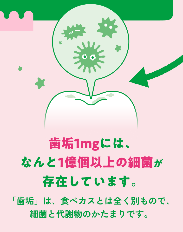 歯垢1mgには、なんと1億個以上の細菌が存在しています。 「歯垢」は、食べカスとは全く別もので、細菌と代謝物のかたまりです。