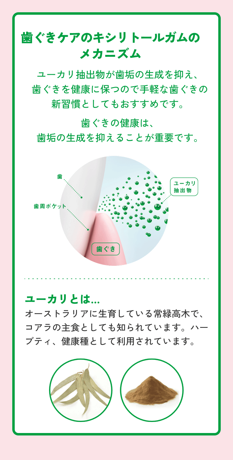 歯ぐきケアのキシリトールガムのメカニズム ユーカリ抽出物が歯垢の生成を抑え、歯ぐきを健康に保つので手軽な歯ぐきの新習慣としてもおすすめです。 歯ぐきの健康は、歯垢の生成を抑えることが重要です。 ユーカリとは…オーストラリアに生育している常緑高木で、コアラの主食としても知られています。ハーブティ、健康種として利用されています。
