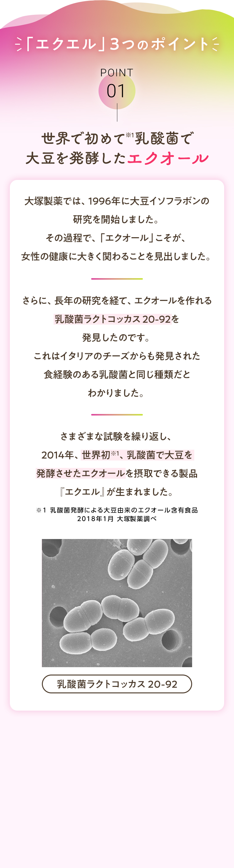 エクエル3つのポイント POINT01