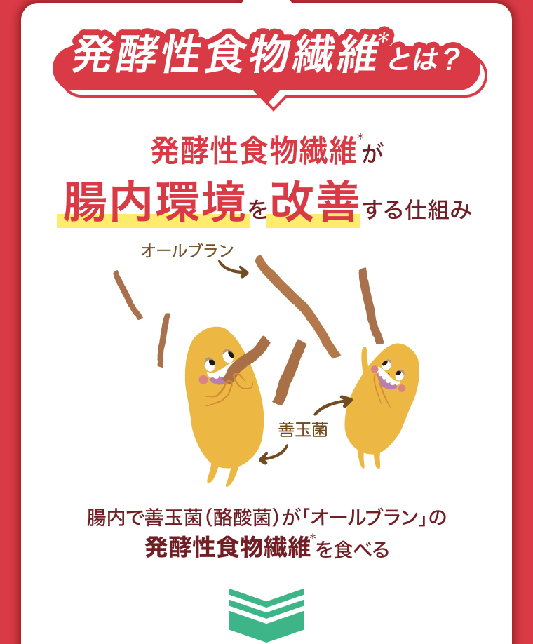 発酵食物繊維とは？