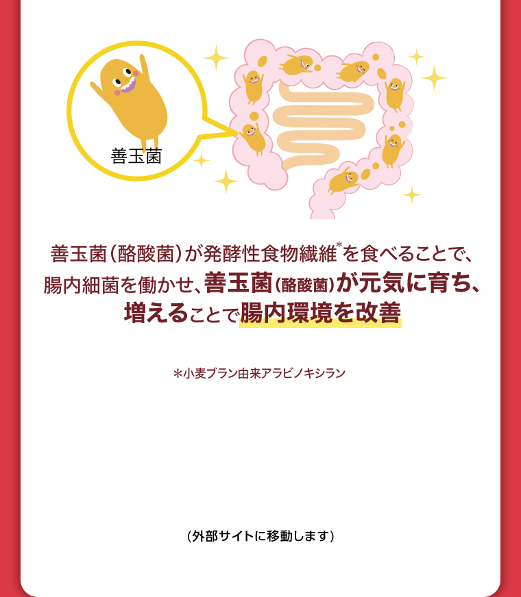 腸内環境を改善