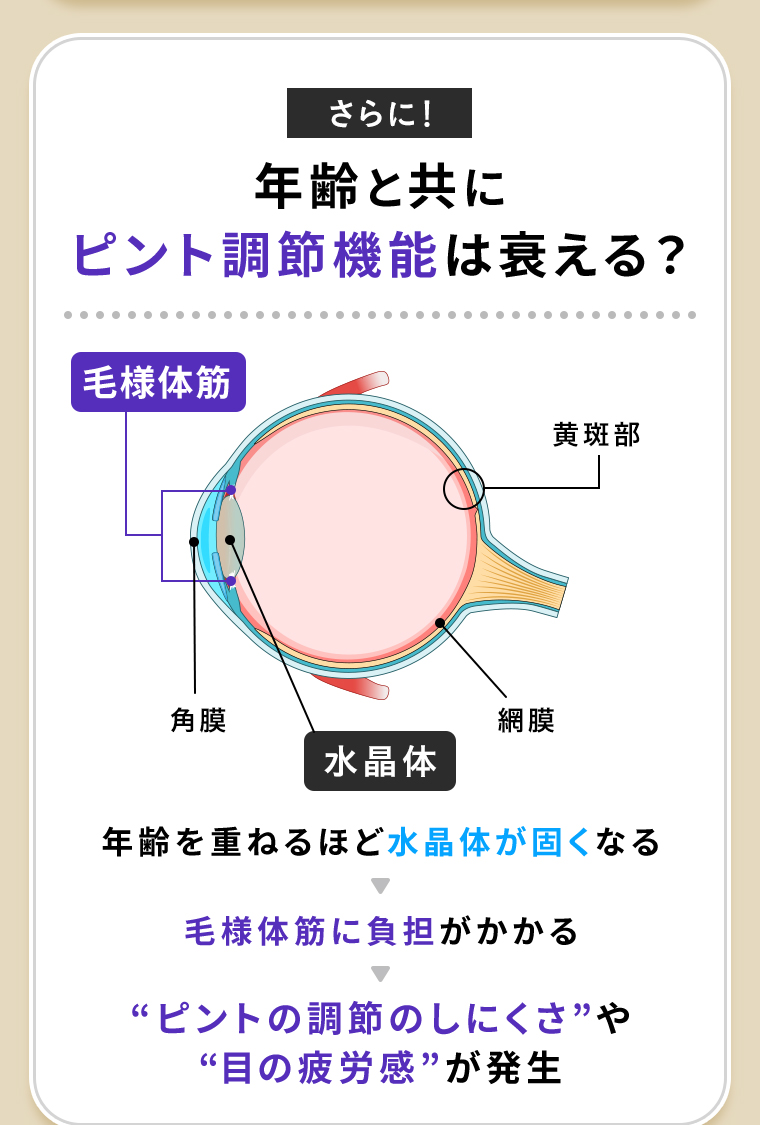 ピント調節機能は衰える？