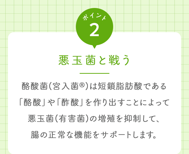 ポイント02 悪玉菌と戦う
