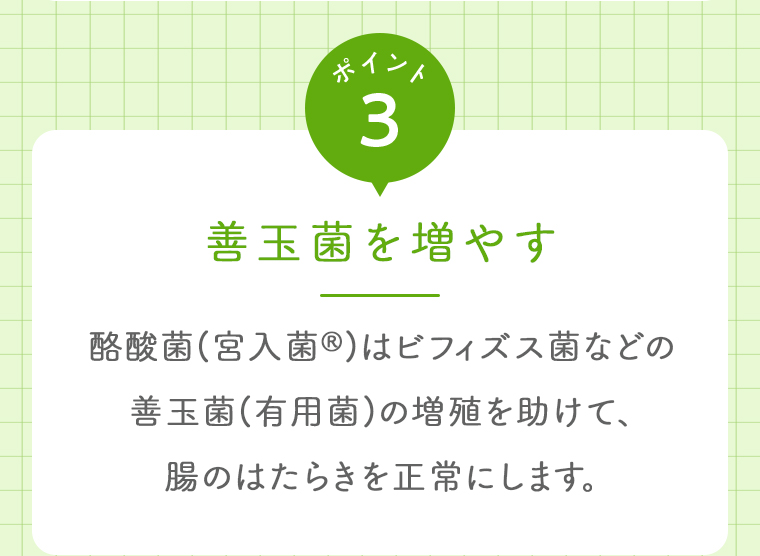 ポイント03 善玉菌を増やす