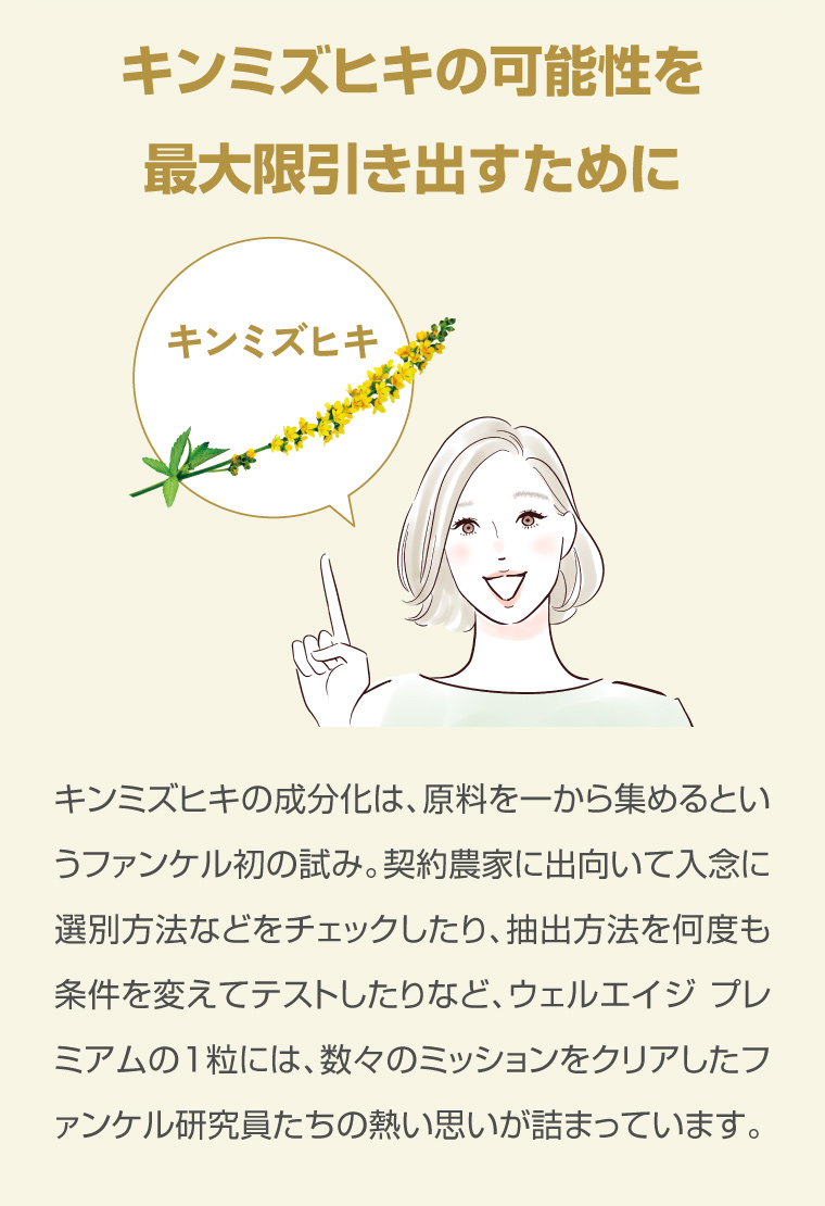 キンミズヒキの可能性を最大限引き出すために