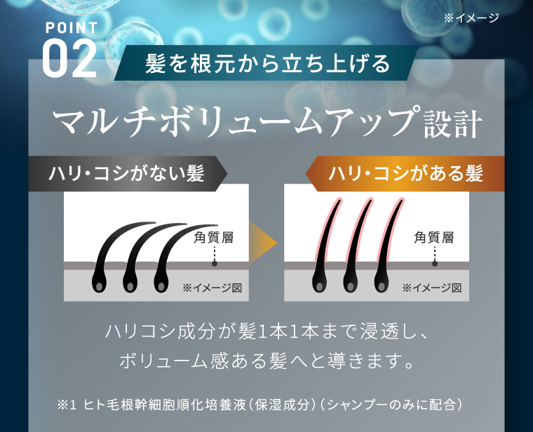 POINT 02 髪を根元から立ち上げる ※イメージ マルチボリュームアップ設計 ハリ・コシがない髪 「角質層 ハリ・コシがある髪 1 角質層 ※イメージ図 ※イメージ図 ハリコシ成分が髪1本1本まで浸透し、 ボリューム感ある髪へと導きます。 ※1 ヒト毛根幹細胞順化培養液 (保湿成分) (シャンプーのみに配合)