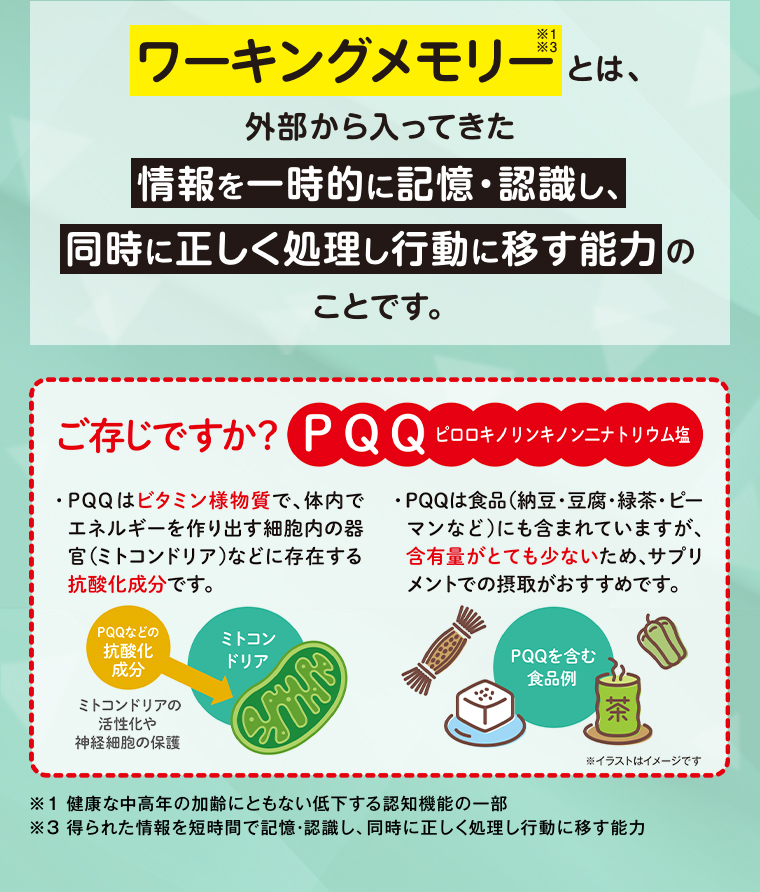 ワーキングメモリーとは