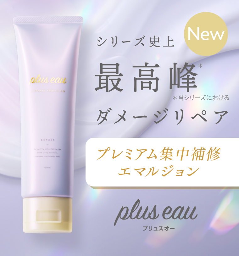 最高峰ダメージリぺア