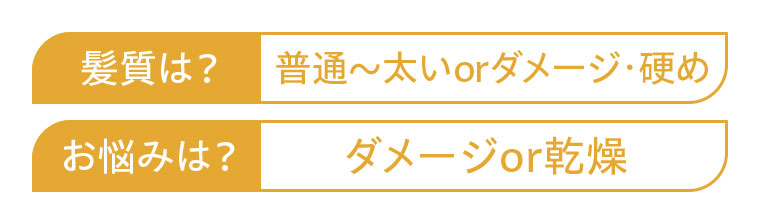 髪質は? 普通~太いorダメージ・硬め お悩みは? ダメージor乾燥