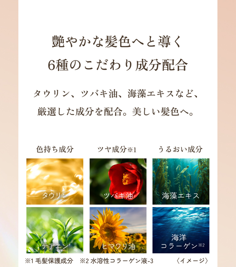 艶やかな髪色へと導く6種のこだわり成分配合