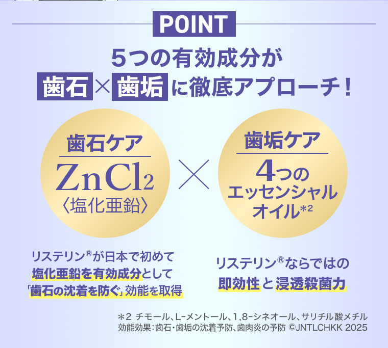 POINT歯石 歯垢に徹底アプローチ