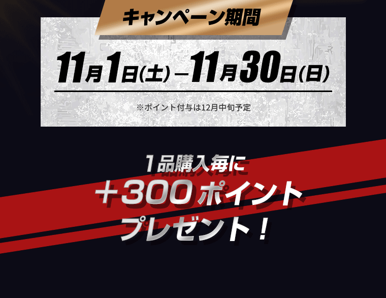 キャンペーン期間11月1日（土）～11月30日（日）