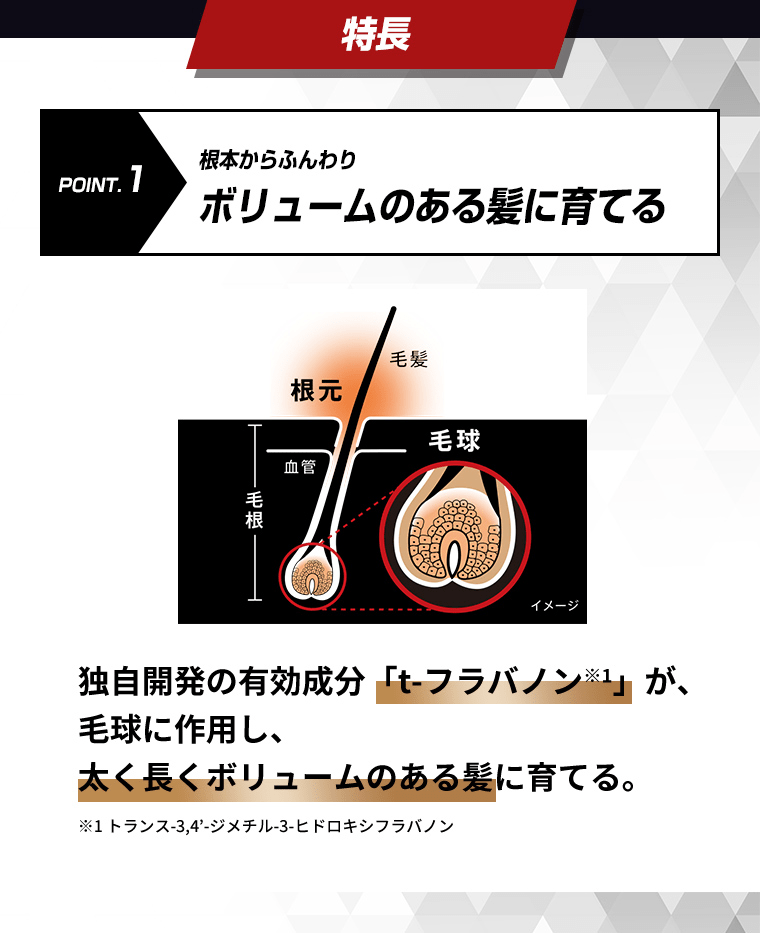 POINT.1根元からふんわりボリュームのある髪に育てる