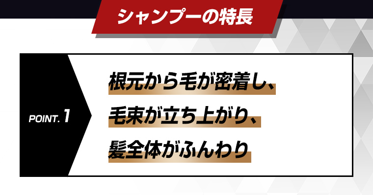 POINT.1根元から毛が密着し、毛束が立ち上がり、髪全体がふんわり