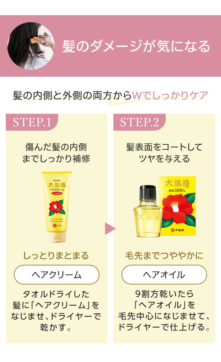 髪のダメージが気になる