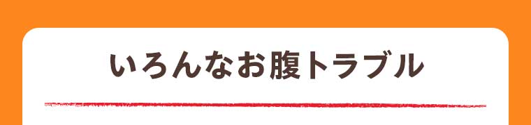 いろんなお腹トラブル